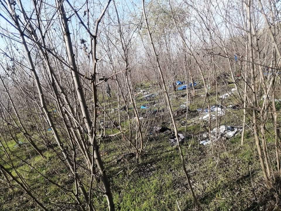 Déli határ